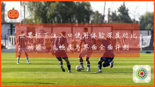 世界杯下注入口使用体验深度对比：功能、流畅度与界面全面评测