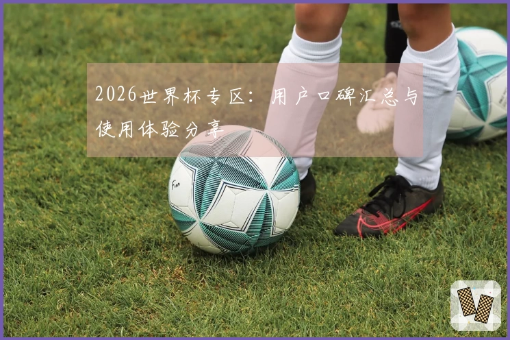 2026世界杯专区：用户口碑汇总与使用体验分享