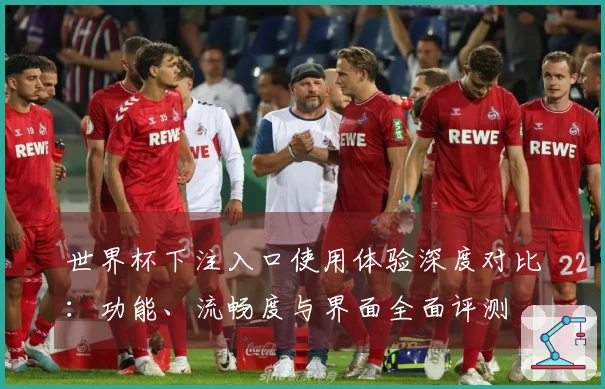 世界杯下注入口使用体验深度对比：功能、流畅度与界面全面评测